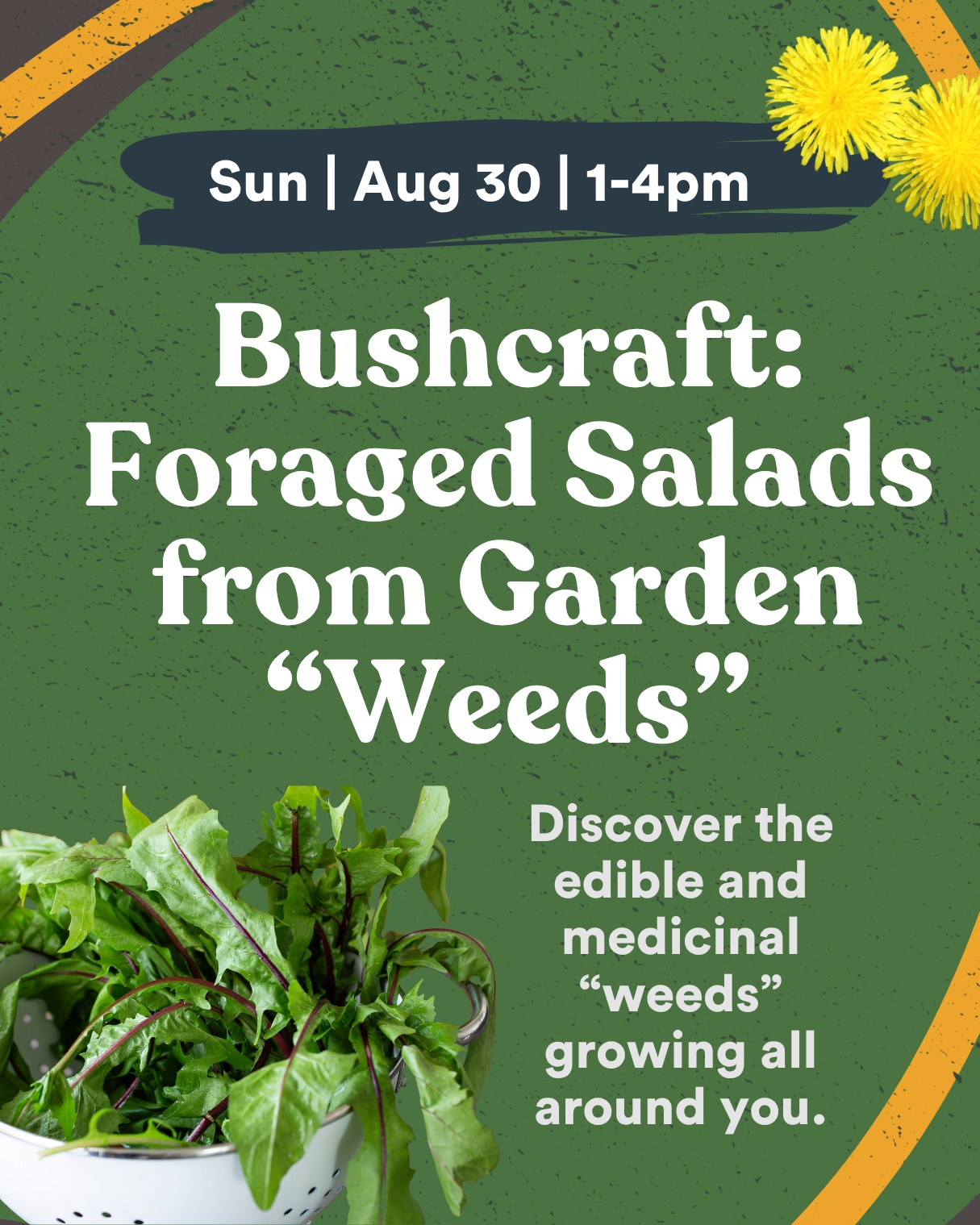 Bushcraft: Foraged Salads from Garden "Weeds" event artwork