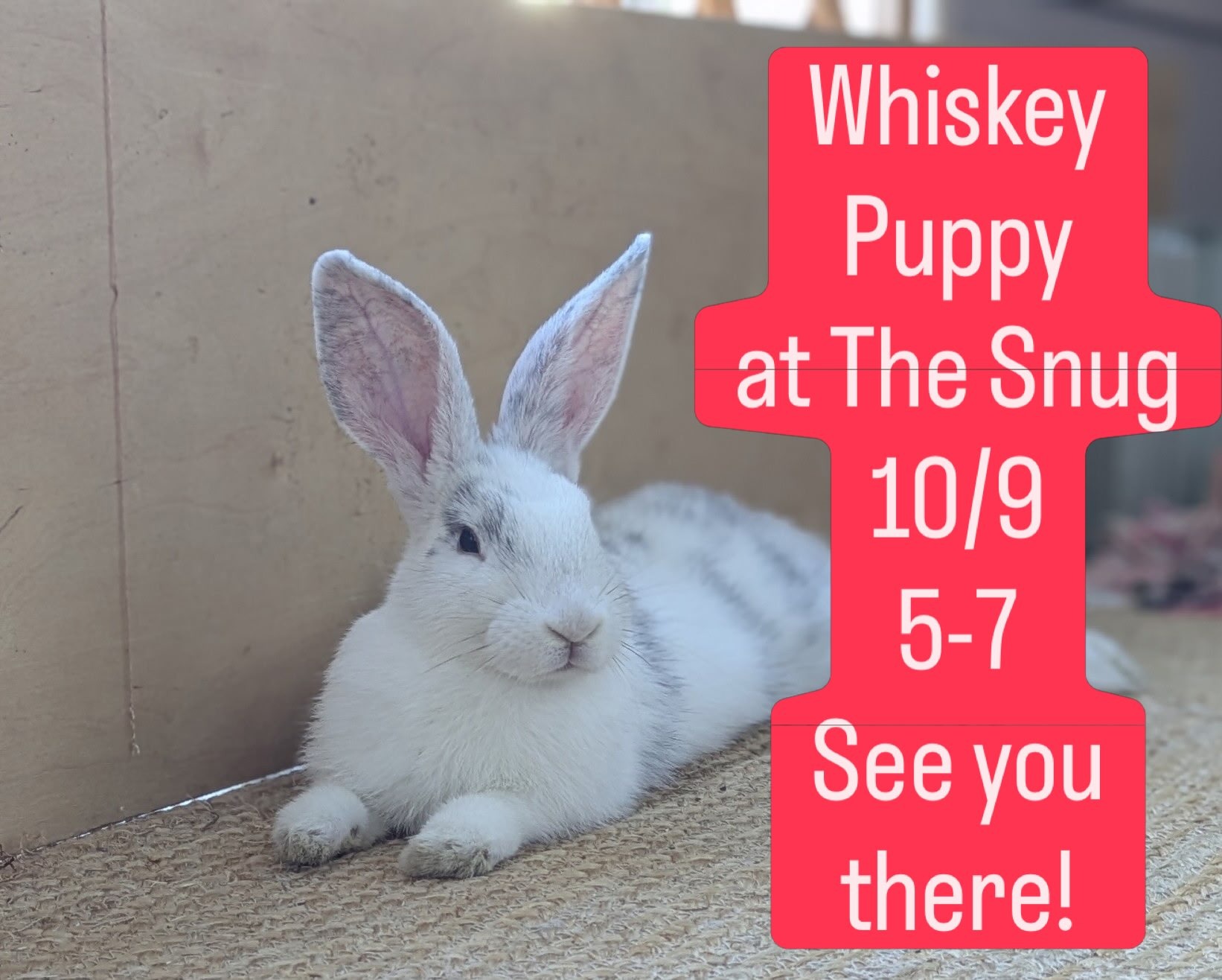 Whiskey Puppy (Early show) event artwork